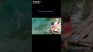 Download Lagu kali biru genyem MP3