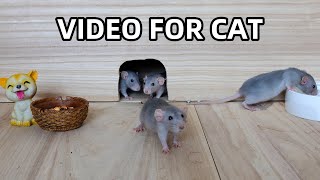 Cat TvMice in The Jerry Mouse HoleVideo For Cats To Watch~6Hours