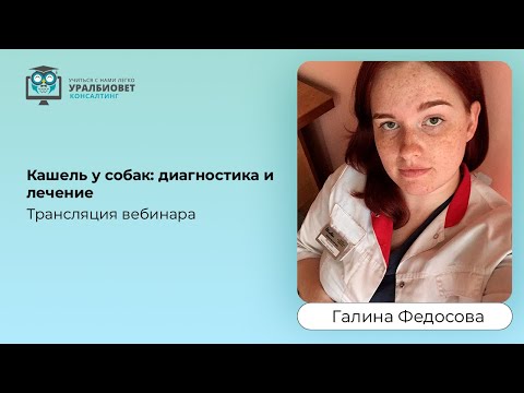 Трансляция фрагмента интенсива с Галиной Федосовой "Кашель у собак: диагностика и лечение"