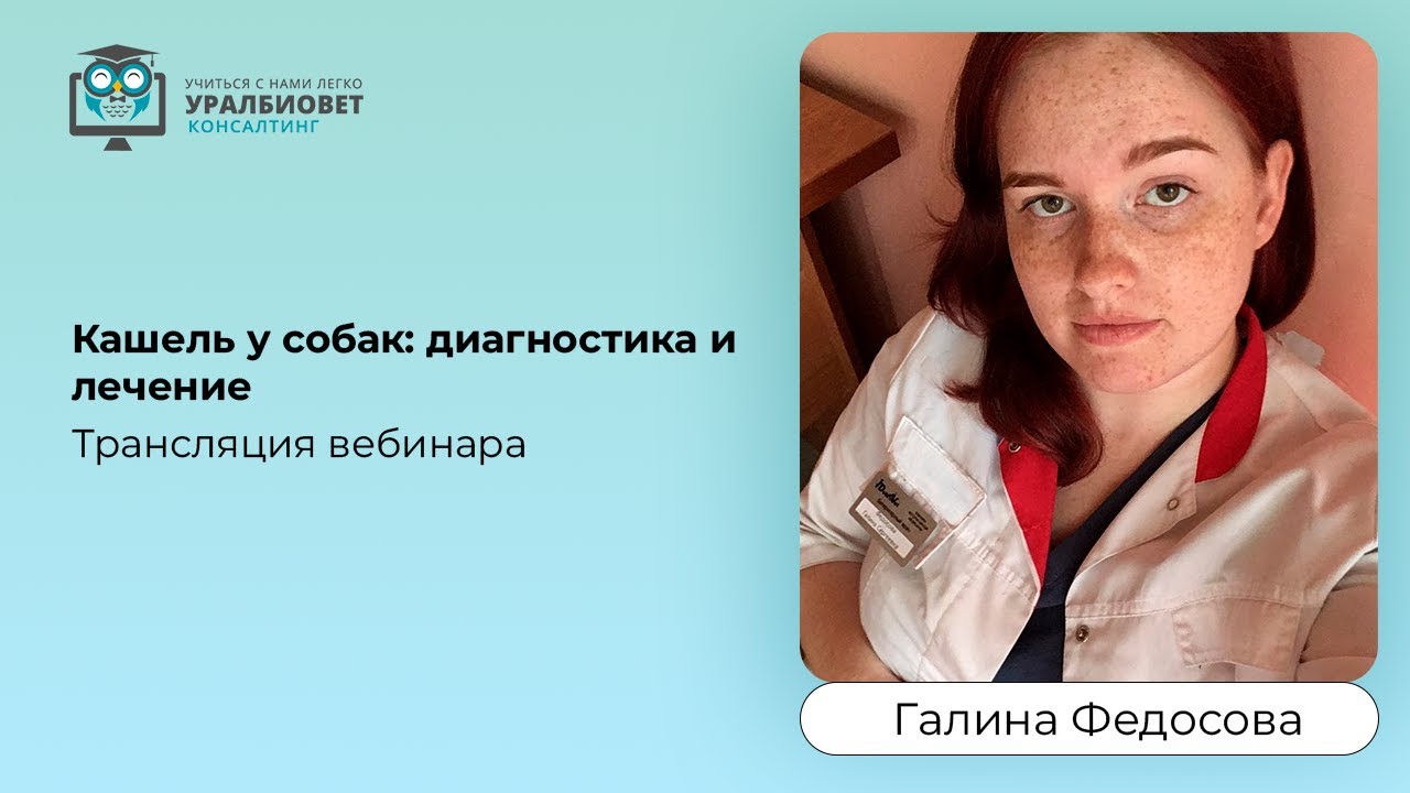 Трансляция фрагмента интенсива с Галиной Федосовой "Кашель у собак ...