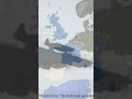 Fall of France edit