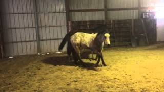 Download Lagu trim 758C836F C9BA 4A64 93FA 5B825CE1CEBF MP3