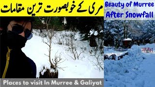 Enjoyed a Murree's Beautiful point at Galyat #galyat #murreevlog #ayubia #murreelive #murreesnowfall