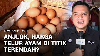 Anjlok, Harga Telur Ayam di Titik Terendah? | Liputan 6