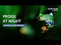 Frogs at Night - 10 Hours Sleep Sound - Black Screen