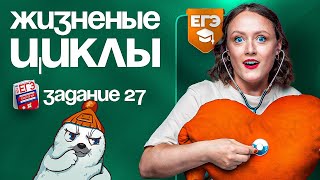 Жизненные циклы. Задание №27 | ЕГЭ-2024 по биологии