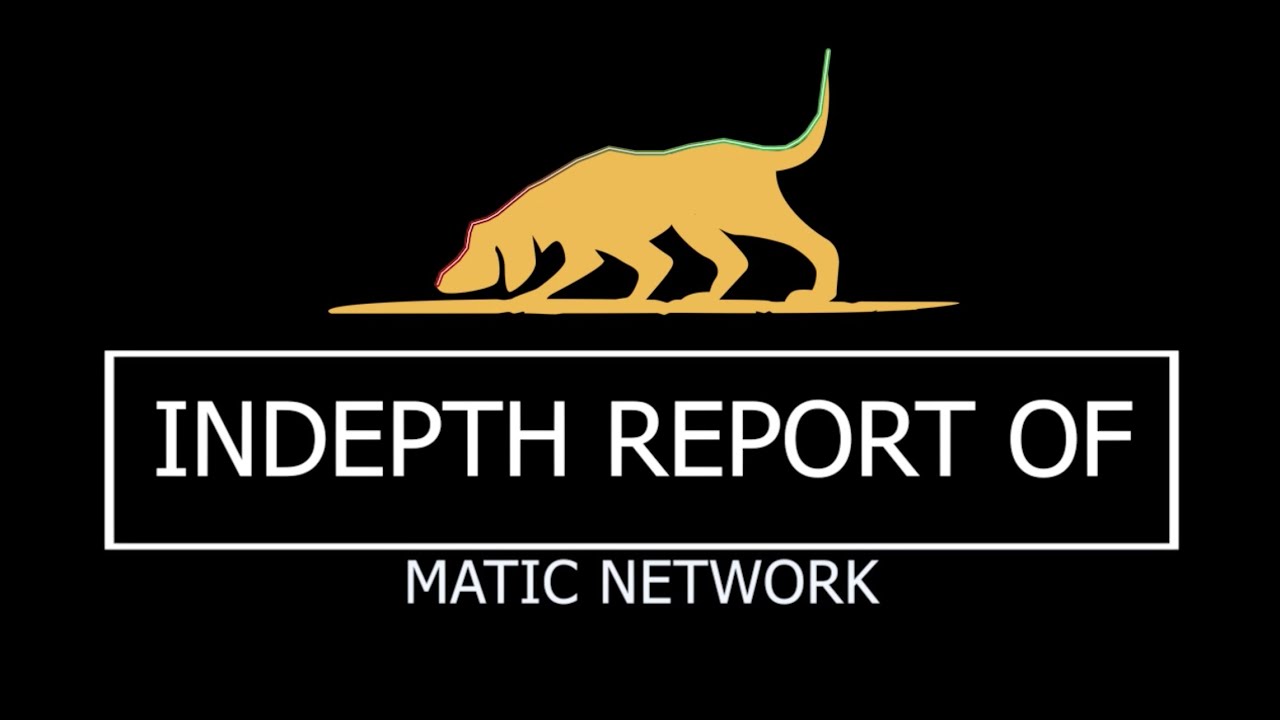 In-Depth Report of Matic Network by TradeDog