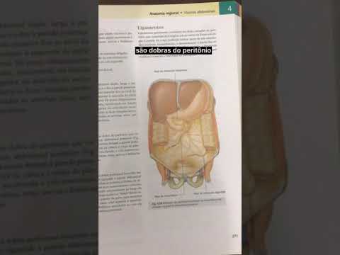 Vídeo: Qual descreve melhor o mesocolon?