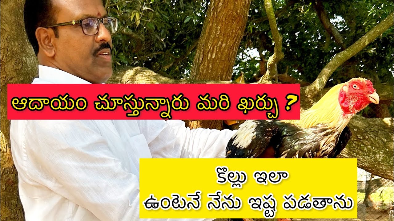 part -3 with RANGAPURAM RATTAYYA garu