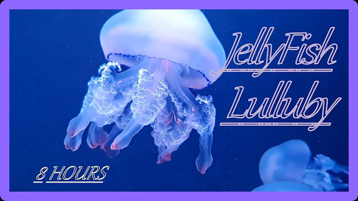 Jellyfish Lullaby | 8 Hours of Underwater Ocean Calm | Put Your Baby To Sleep Fast