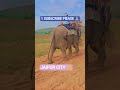 JAIPUR CITY...👌#tranding #jaipur