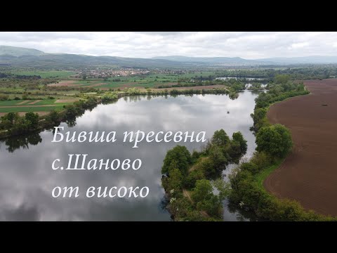 Видео: Пресевни растения в зона 9: Най-добрите растения за жив плет за градини в зона 9