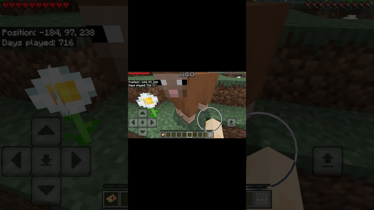 take me to the king 👑 