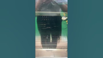 High and Low Temperature Testing of LUVIEW JY-022A Camera and JY-M1001Q Monitor