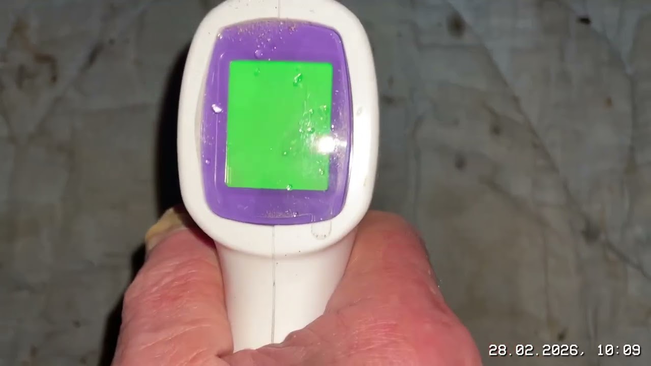 Последний день зимы