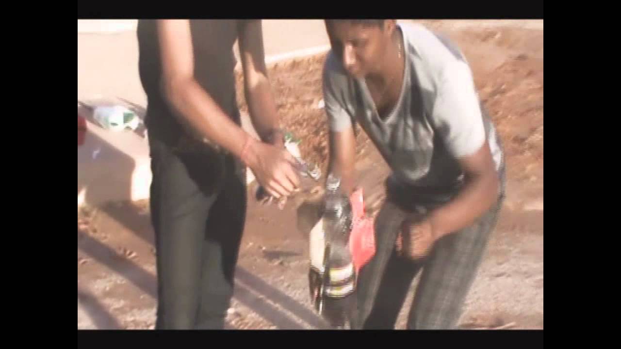 Grupo MonsTer'S - Rumo a MG - OBFOG