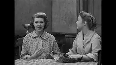 The Honeymooners Full Episodes 36 Alice and the Bl...