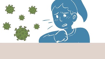 COVID-19: Science of the virus