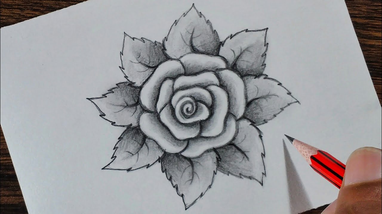 How to draw a Rose step by step - YouTube