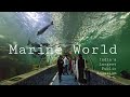 Marine World, Chavakkad - India's Largest Public Aquarium