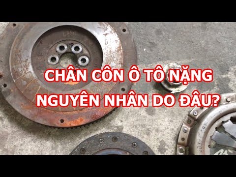 Video: Xe gì có chân không?