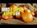 ПИЯЗ 7 ТҮРЛІ АУРУҒА ШИПА БОЛАДЫ