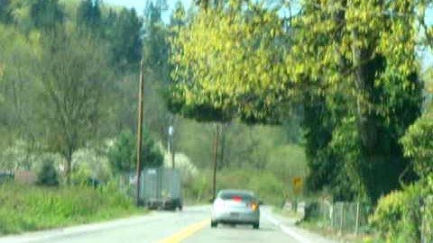 06 cammed cobalt after tune 2