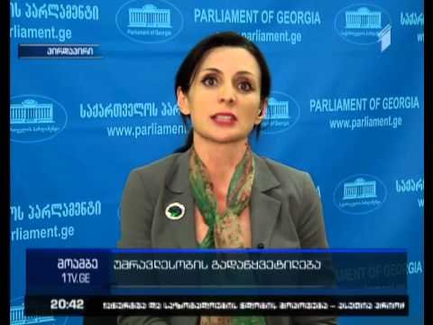 ანი მიროტაძე - პრეზიდენტის გამოსვლაზე მთავრობის დასწრების აუცილებლობას ვერ ვხედავ