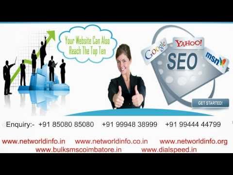Web Designing Company in Thanjavur - Net World