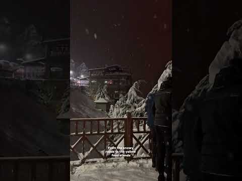 Four Seasons in
