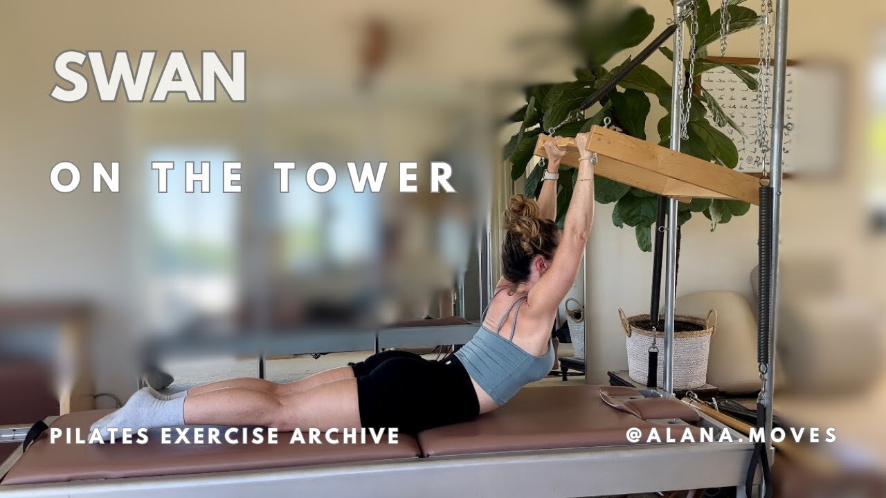 Swan on the Cadillac