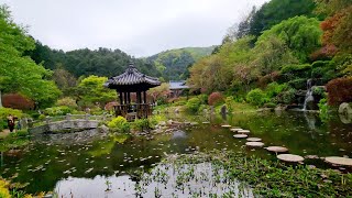 Garden of Morning Calm، A Hidden Gem in Korea 🇰🇷 (아침고요수목원) | 4k Korea travel guide