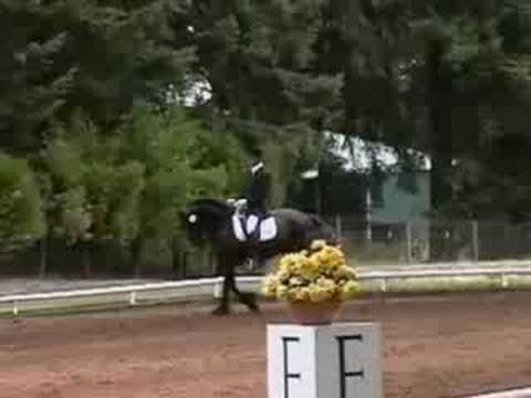 Hindrik Lauwers - Friesian Gelding owned by Legacy...