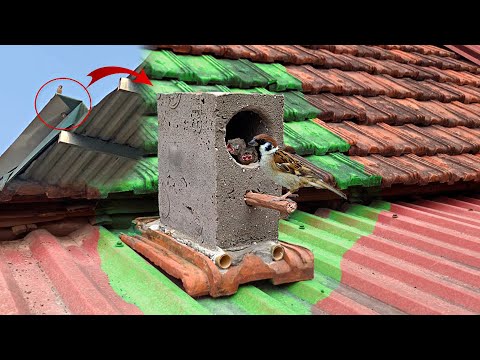 Video: Birdhouse Cleverly Integrated in Design Roof oleh Artis Klaas Kuiken