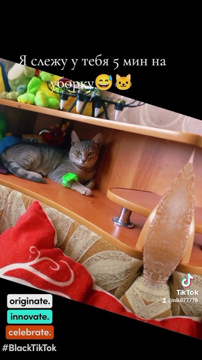 Я слежу у тебя на уборку 5 минут😅🐱 #худеюбездиет #массаж #снятие ...
