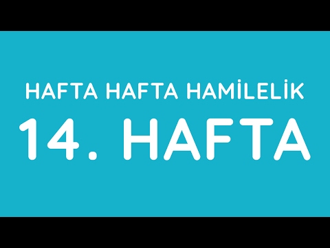 Video: 14 Həftəlik Hamiləlik