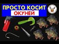 ЭТА СНАСТЬ ПРОСТО КОСИТ РЫБУ 👍 ВЯЖУ ГРАМОТНЫЙ ОТВОДНОЙ ПОВОДОК НА ОКУНЯ 👍 УЛОВИСТАЯ ПРОВОДКА