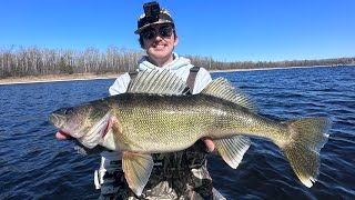 CRUSHING Early Spring Rainy River Walleyes-2024