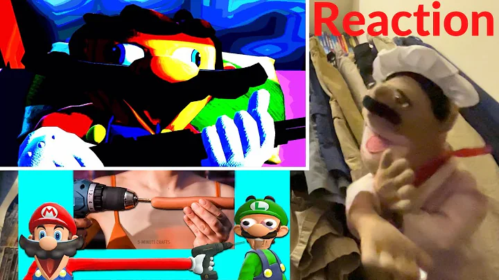 SMG4: Mario Tries Life Hacks 2 ft. Luigi Reaction (Puppet Reaction)