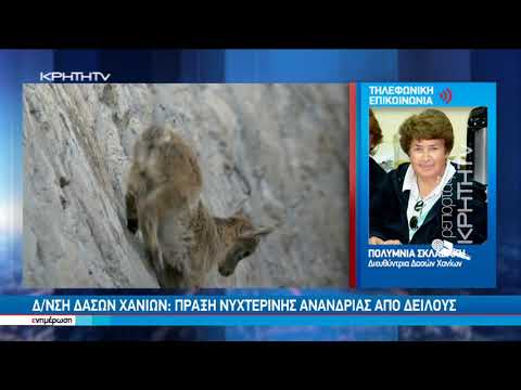 Σκότωσαν αίγαγρο στον Εθνικό Δρυμό