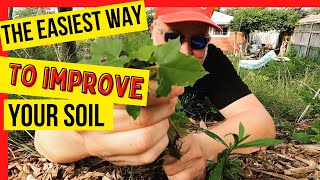 Improve Your Soil WITHOUT Invasives Profile