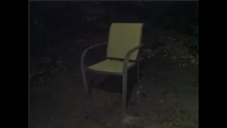 Alex Smith: chair timelapse S1E1 to S2E26