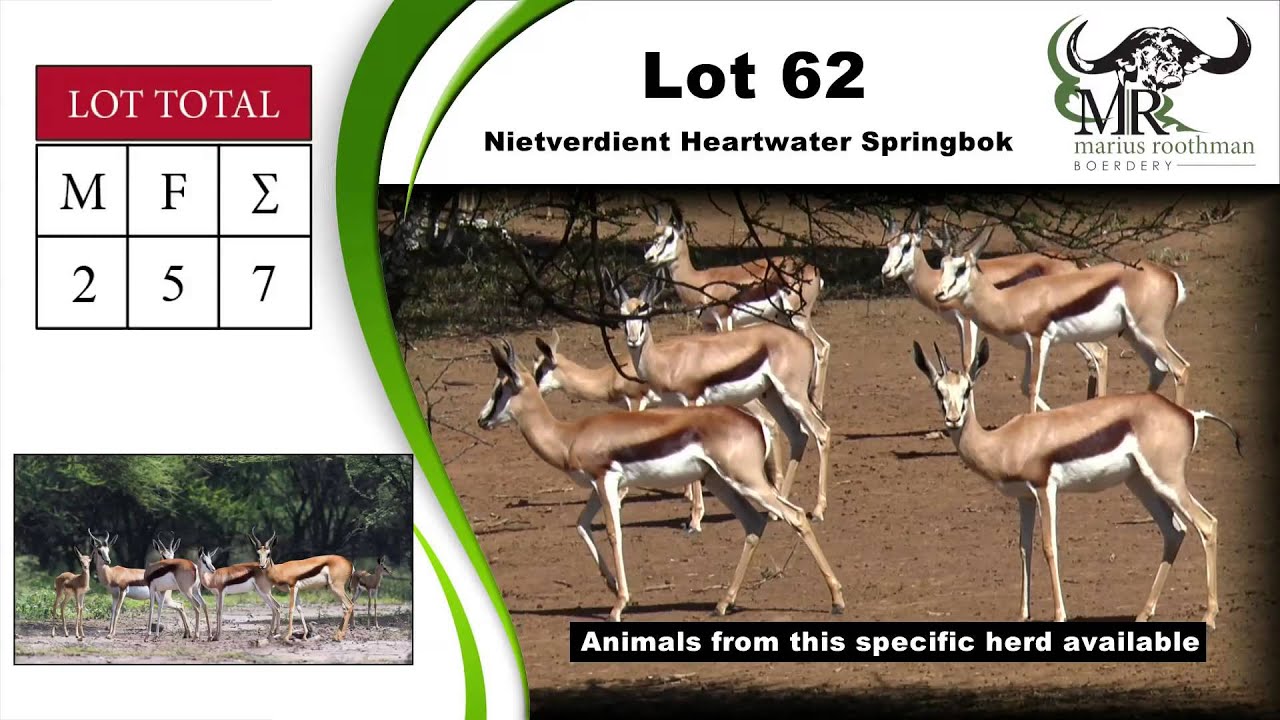 Marius Roothman Marius Roothman Boerdery - Pilanesberg Game Breeders Auction 2015 - YouTube