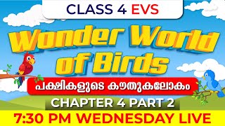 Class 4 EVS | Wonder World of Birds Part 2 | പക്ഷികളുടെ കൗതുകലോകം | Chapter 4 | Exam Winner