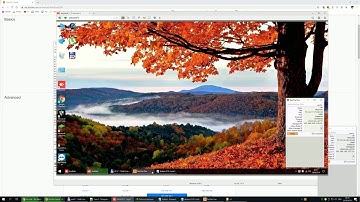 How to play Carmageddon 1 (or any LAN/IPX game) Online ( Zerotier + Dosbox setup )