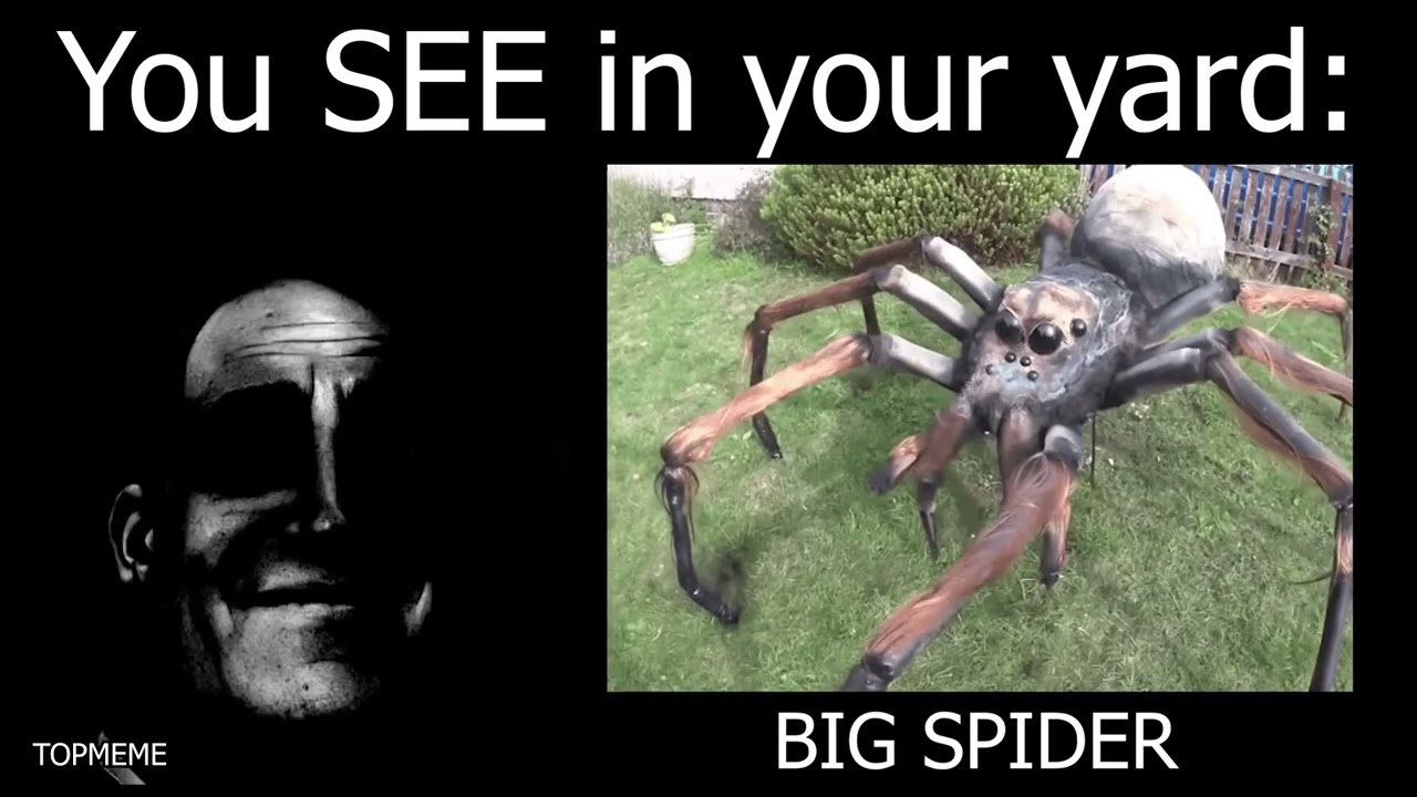 Mr Incredible becoming canny You SEE in your yard