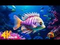 Aquarium 4K VIDEO (ULTRA HD) 🐠 Beautiful Coral Reef Fish - Relaxing Sleep Meditation Music #4