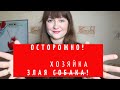 Не заселяйтесь в эту квартиру!!! / неадекватный арендодатель