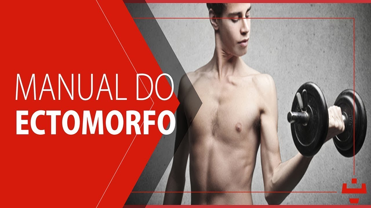 dieta bulking limpo para ectomorfo forum