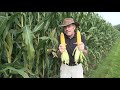 Corn School -  Planting Depth Lessons